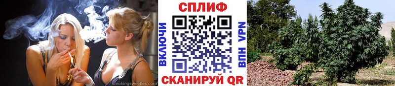 Бошки Шишки семена  Бакал 